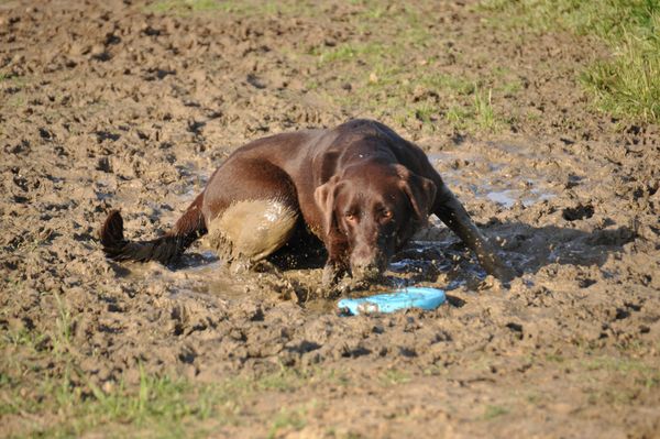 And like any normal kid, loves to play in the mud...
