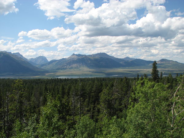 Near the entrance to Waterton Lakes, looking north...