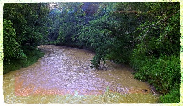 Big Creek,a tributary to the Rocky River...