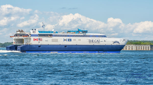 The CAT is the high speed auto ferry that plies be...