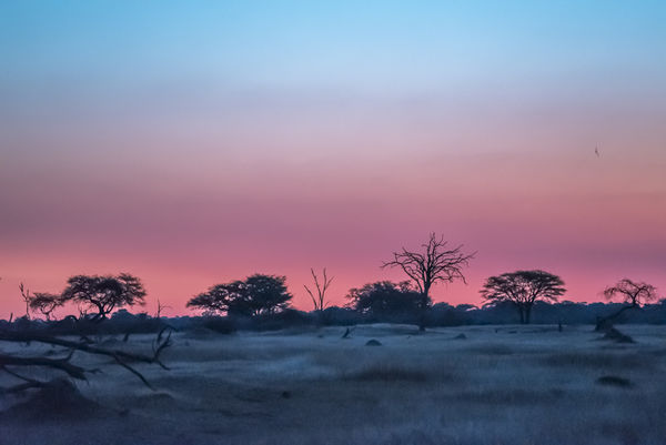 Hwange sunset, Zimbabwe...