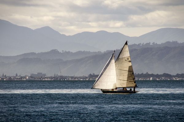 Wellington Bay sailing...