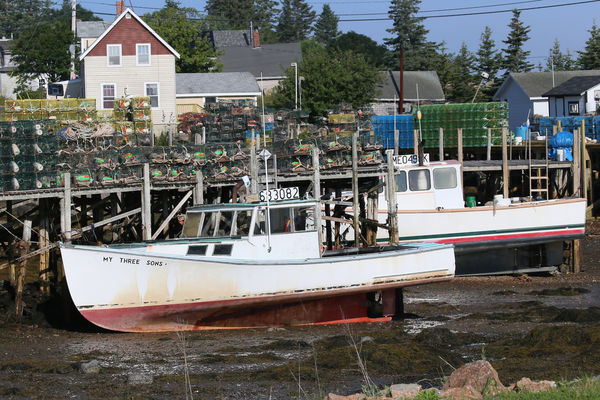 Boats "parked" at low tide....