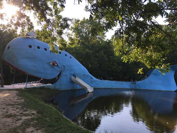 The Blue Whale swimming hole...