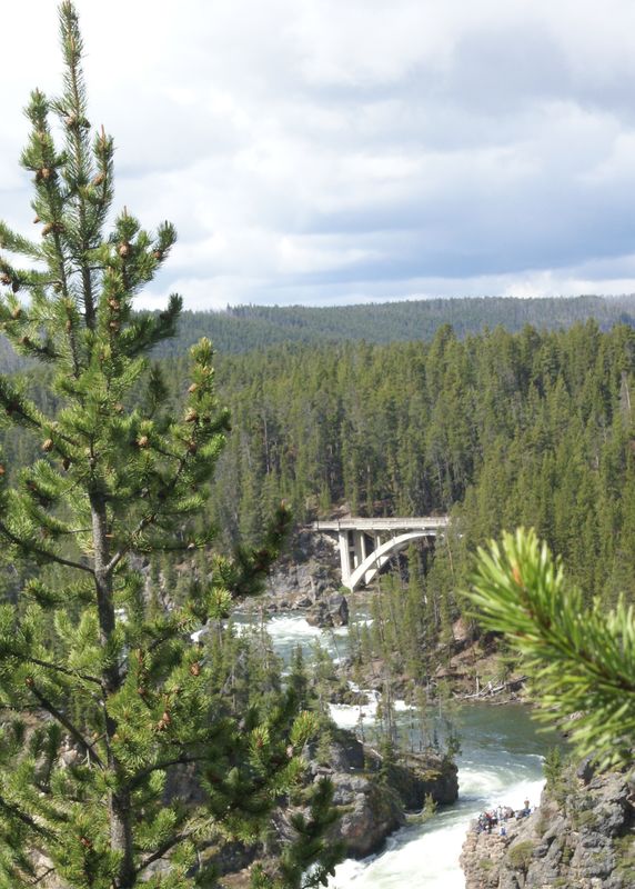 Bridge over the Yellowstone river just above the l...