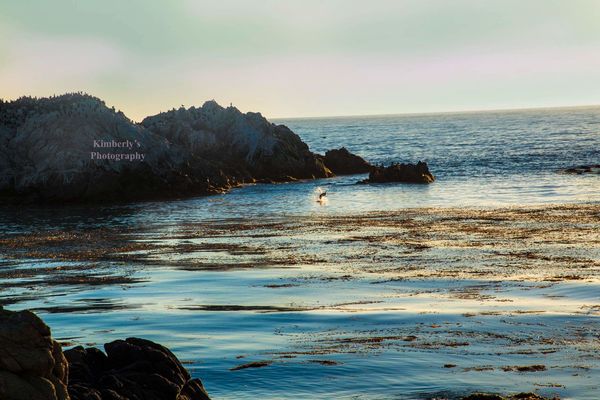 Pebble Beach sunset2,  Monterey Ca. Shot with a Ni...