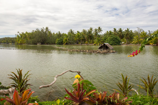 Fish trap on the island of Huahine...
