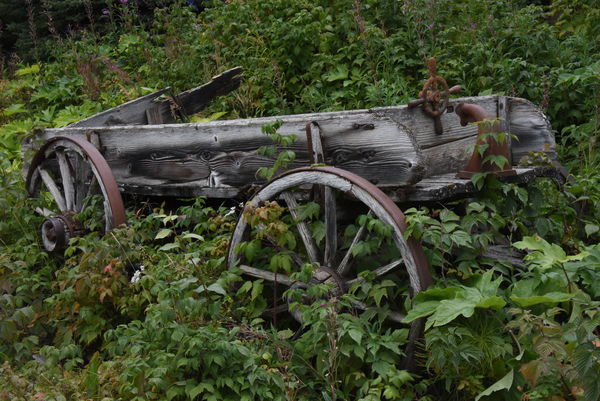 Kennecott_Abandoned Wagon...