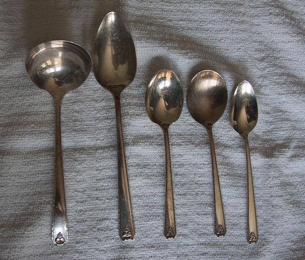 A spoon family...