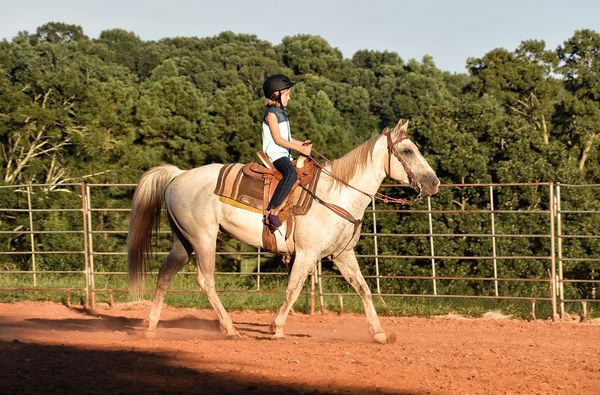 Granddaughter, Ansley, at riding lessons on Tuesda...