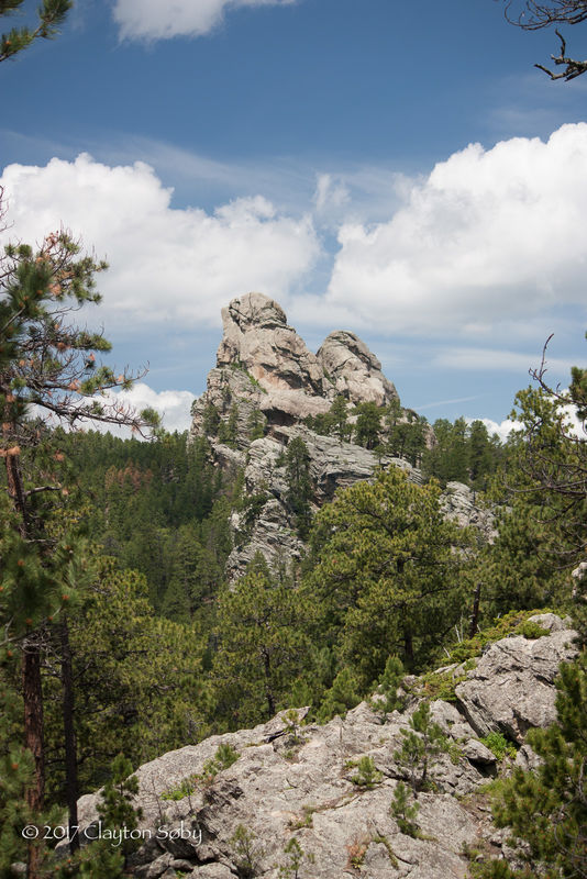 Random view from the Needles Highway...