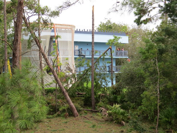 So many trees down at our resort but thank goodnes...