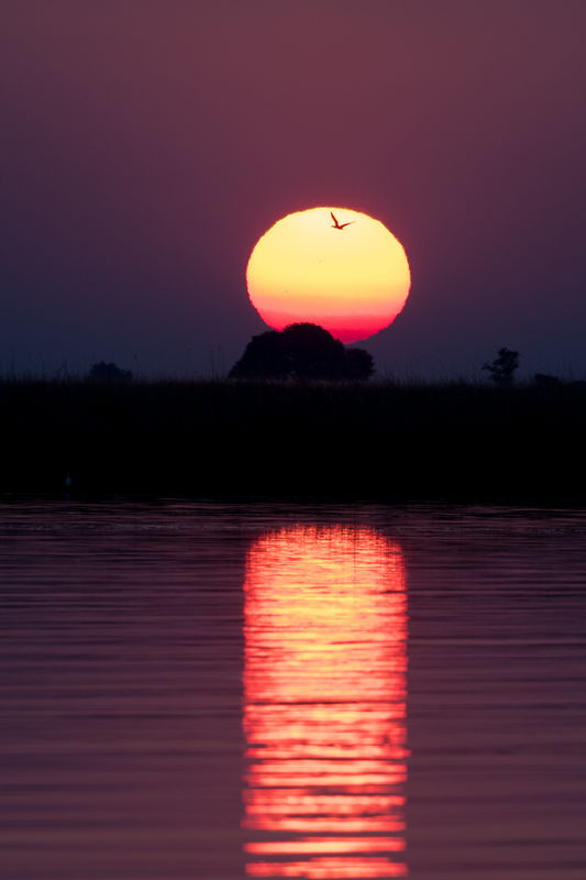 Our first African sunset from the photo boat....