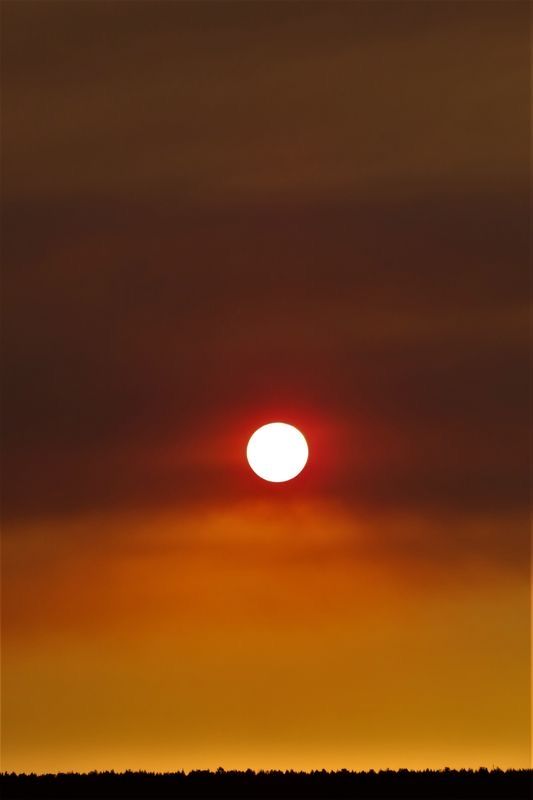 Tonight's sunset via forest fire smoke...