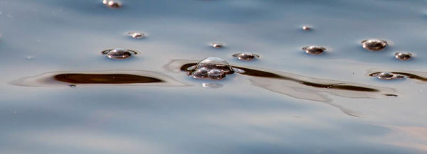Circles on water's surface...