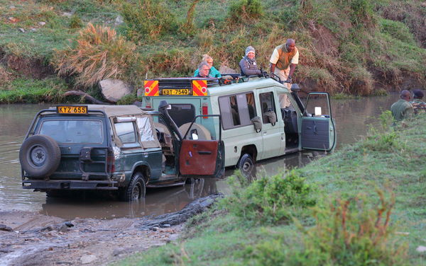 Roads can be hazardous in the Mara!...