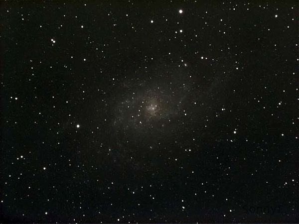 M33 Triangulum Galaxy...
