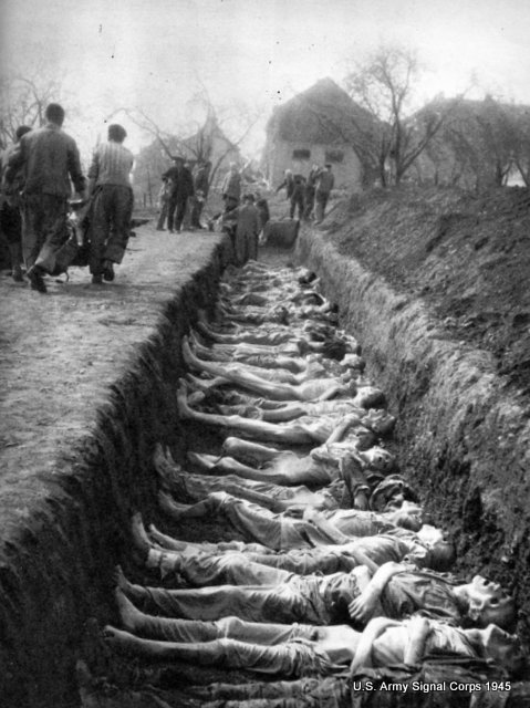 1945: Victims of Nazi medical research in Dachau...