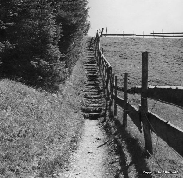 Footpath and stairs between Bavarian fields...