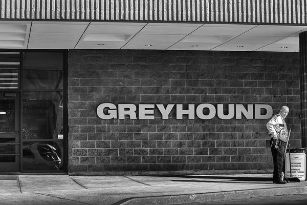 'Greyhound Security'...