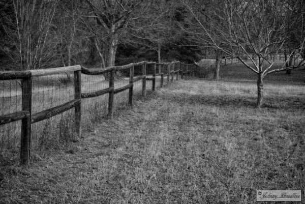 My front fence line LUT mapping in Luminar...