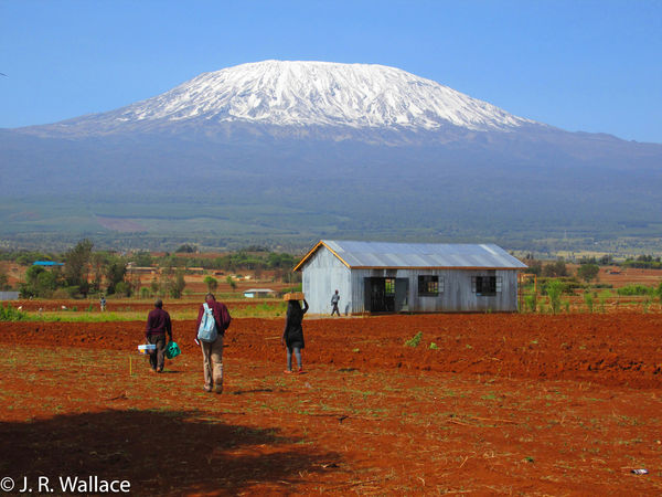 This shot of Kilimanjaro was taken by my friend on...