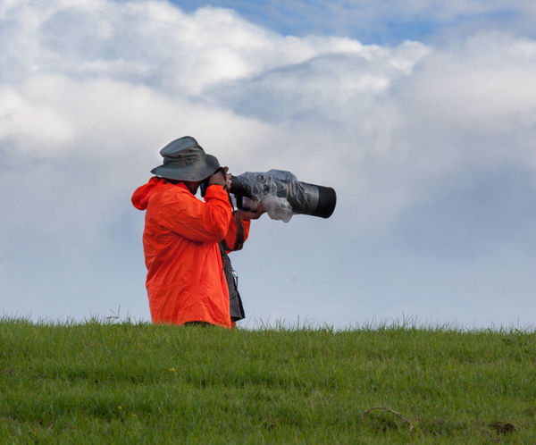 500mm f4 - This guy always shoots hand held....