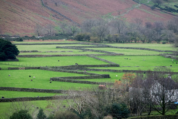Wasdale Walls - all over The Lakes, men built drys...