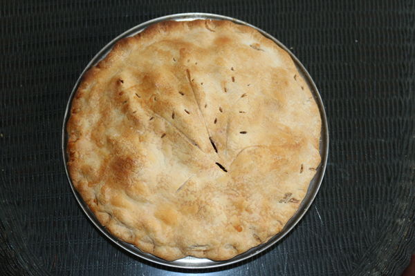 My Apple pie from Sat. alas, all consumed but retu...