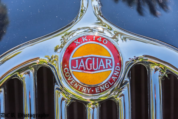 Jaguar Badge...