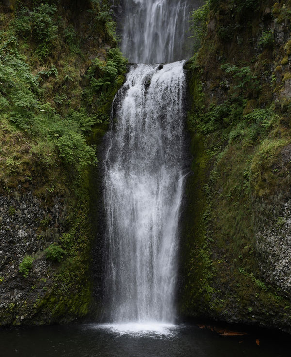 Lower Multnomah Falls nine months after the Great ...