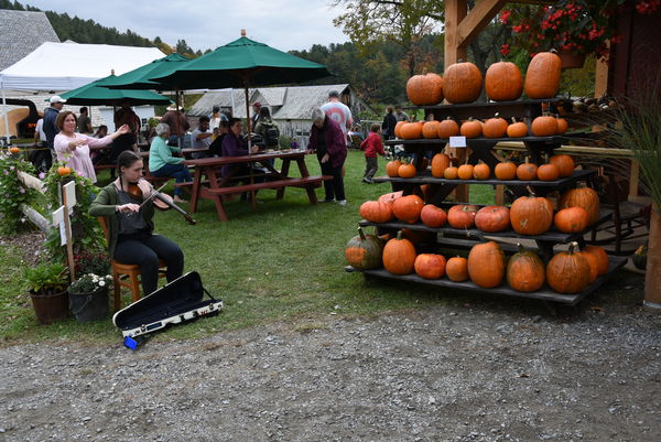 The Violinist, entertaining the pumpkins!...