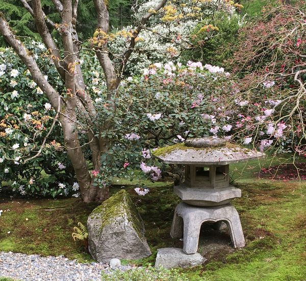 Japanese Garden in the Arboretum...