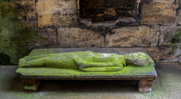 It's not easy being green - tomb effigy at Melrose...