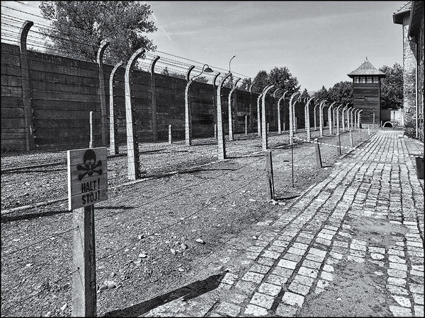 Auschwitz Birkenau Concentration Camps