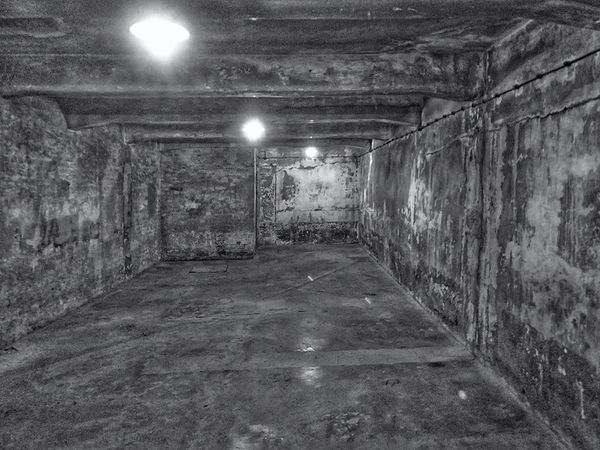 Gas chamber. Zyklon  B gas would be dropped down f...