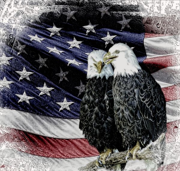 Changed the Background on the Eagles to the Flag, ...