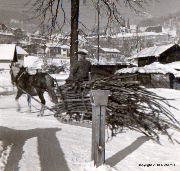 Horse-drawn sled brings firewood in Berchtesgaden ...