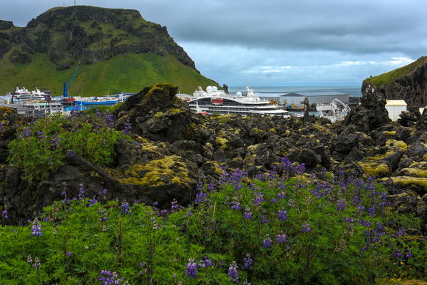 The harbor from the lava flow with our ship visibl...
