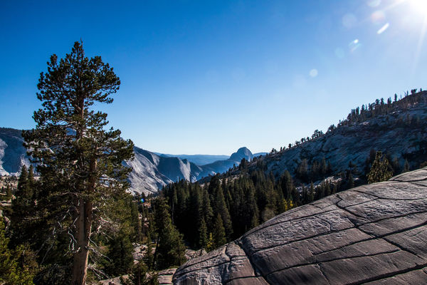 From Olmsted Point, Half Dome in the Distance...