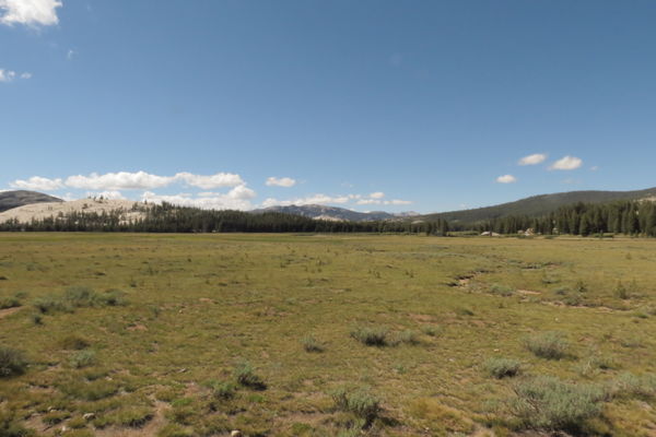 Tuolumne Meadows with the Lembert Dome on the Left...