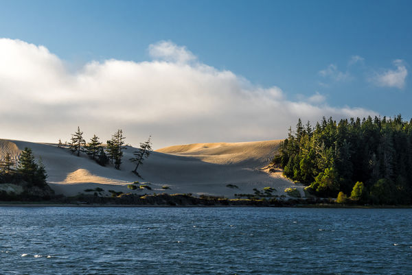 Where the Dunes meet Coos Bay...