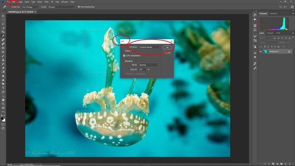 content aware fill photoshop cc 2018 content aware fill photoshop cc 2018