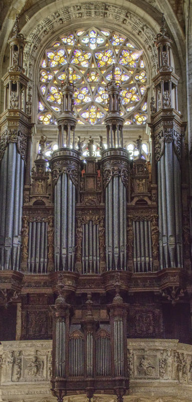 Rose Window and Organ Pipes...