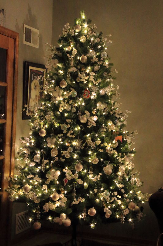 Our Christmas tree at home...