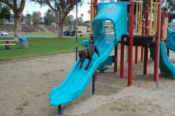 Playing on the slide like all the other kids...