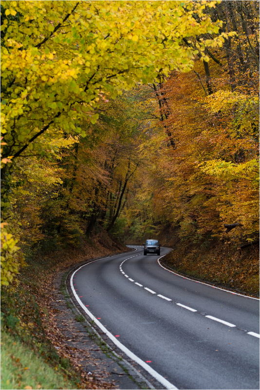 Autumnal Drive....
