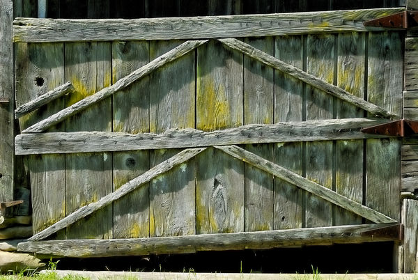 Barn Door (Old Cataloochee, NC)...
