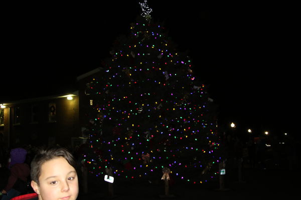 Oh Christmas Tree, --I am gonna poke yer Eye out, ...