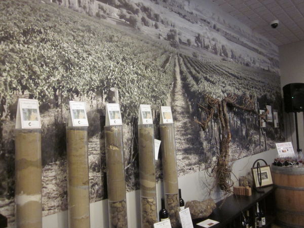 samples of the soils & vines with photo background...